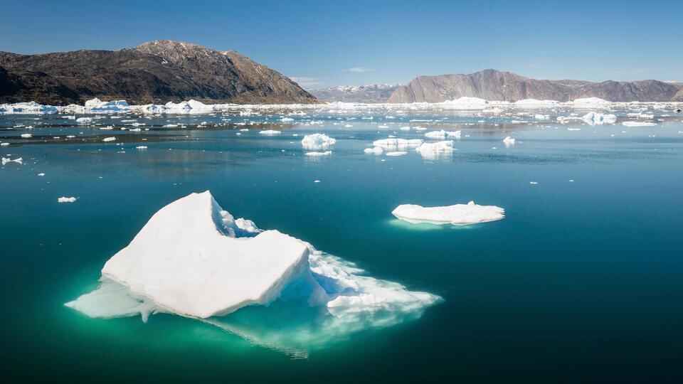 © Кадр из программы "Невероятно интересные истории", РЕН ТВ