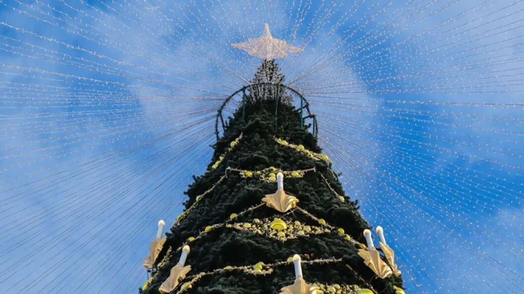    ФОТО: © ELENA MAYOROVA/GLOBALLOOKPRESS