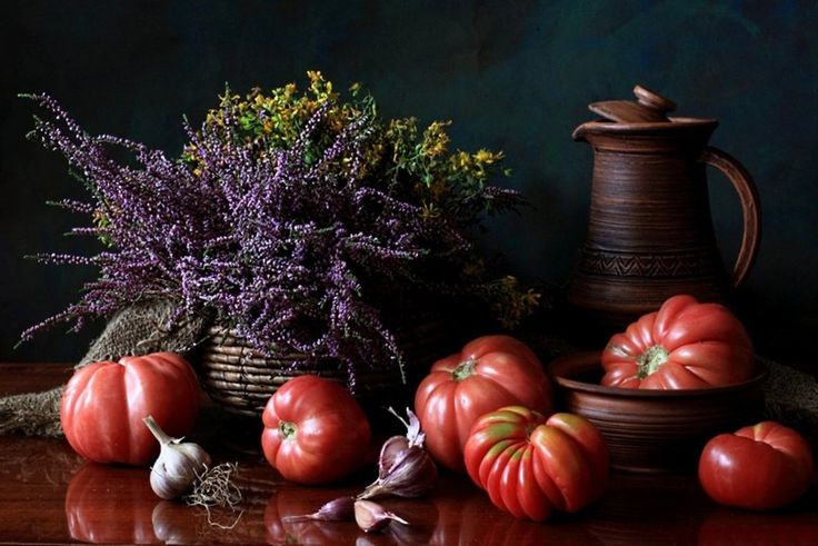 фото из итернета