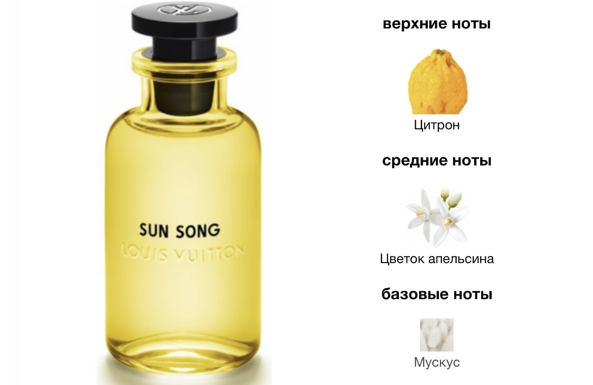 Флакон и пирамида аромата 2019 года