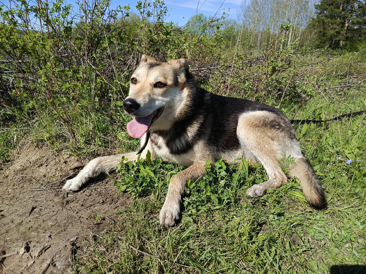 Габи отдыхает