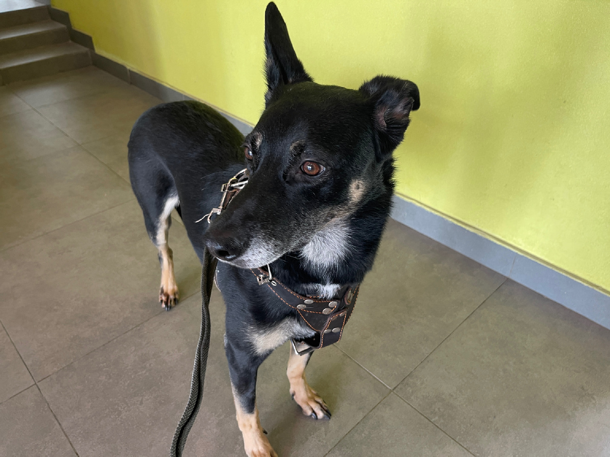 Миша, ты мне не даешь спать ночью, а я тебе — утром!