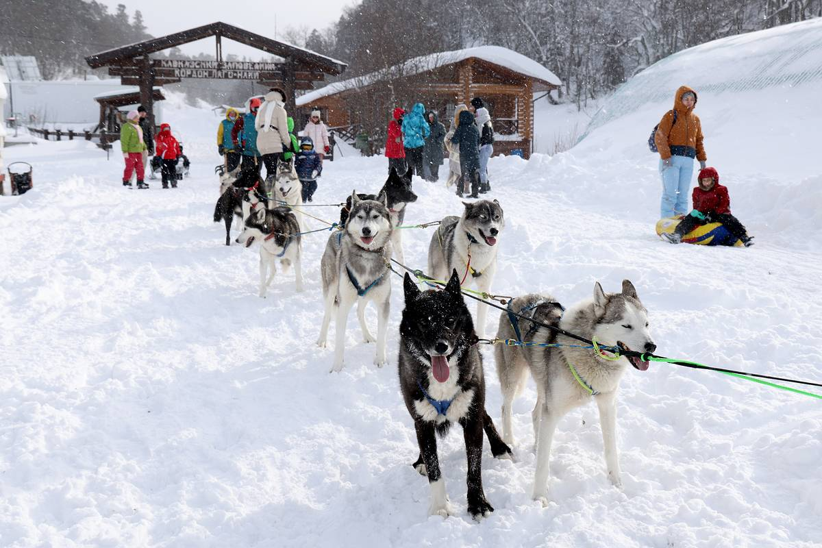 Фото: Дмитрий Феоктистов/ТАСС