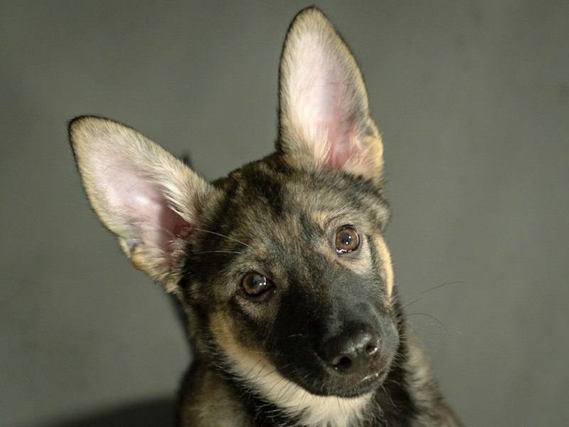 Кнопины глазки 🥹