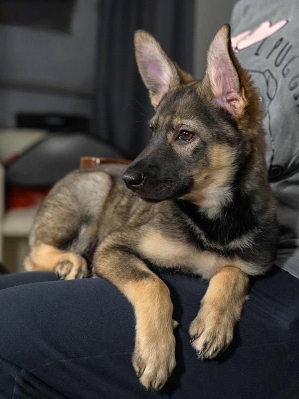 Забралась на ручки 🤭