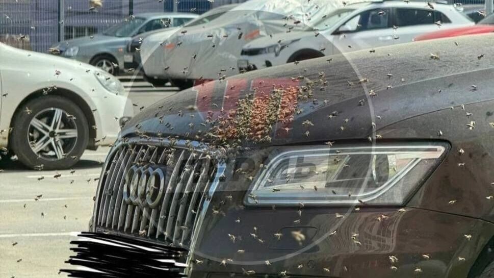     Источник: ЧП Пермь