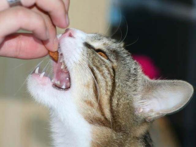 Фото из Интернета.