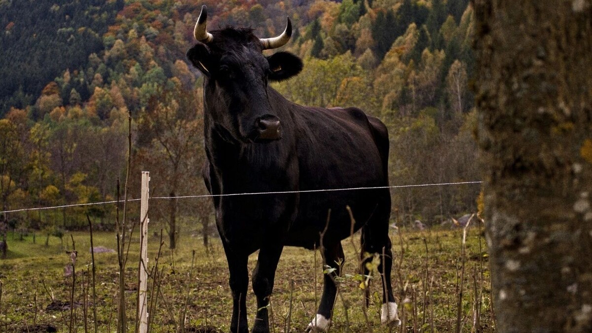     Автор: wirestock/freepik