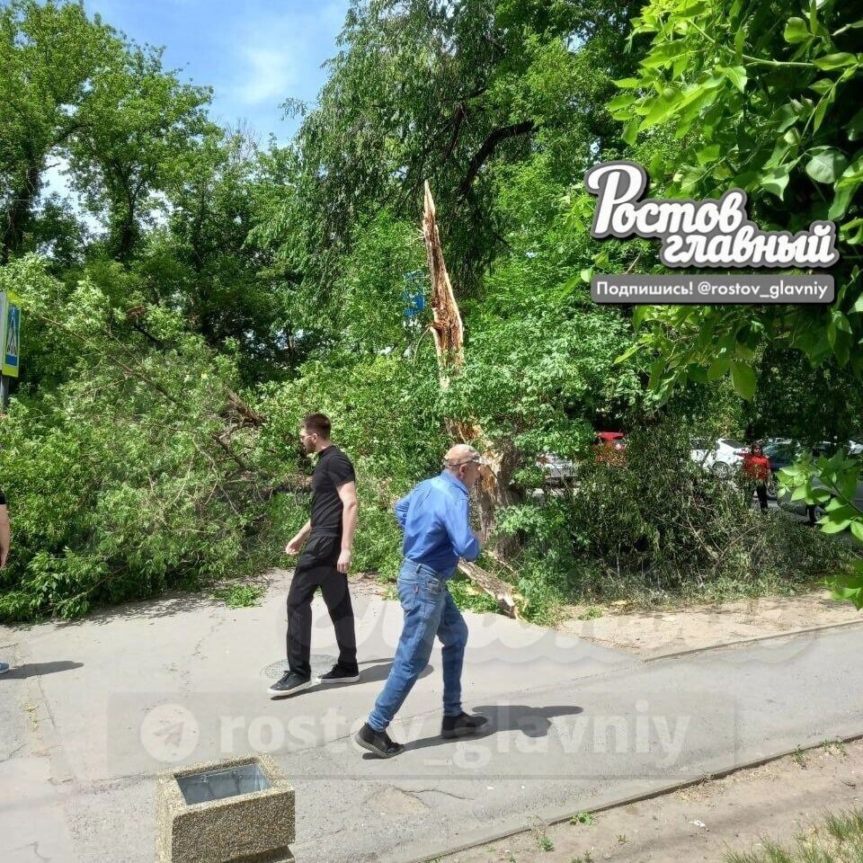     Автор: ТГ Ростов Главный