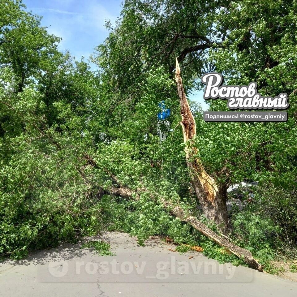     Автор: ТГ Ростов Главный