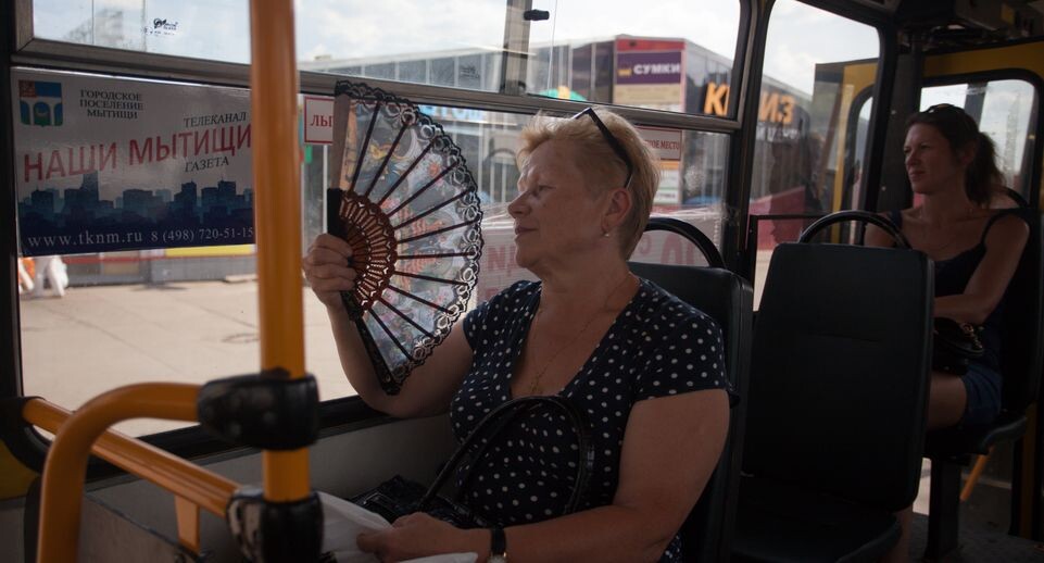    Жара в Московской области / Медиасток.рф