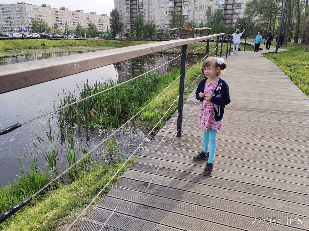 Агния размышляет, почему с одной стороны мостика река льётся, а с другой стороны ничего нет, кроме травы. 