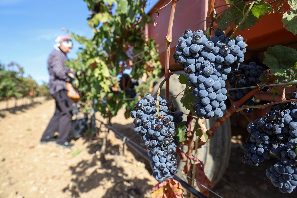 Фото: Сергей Мальгавко/ТАСС