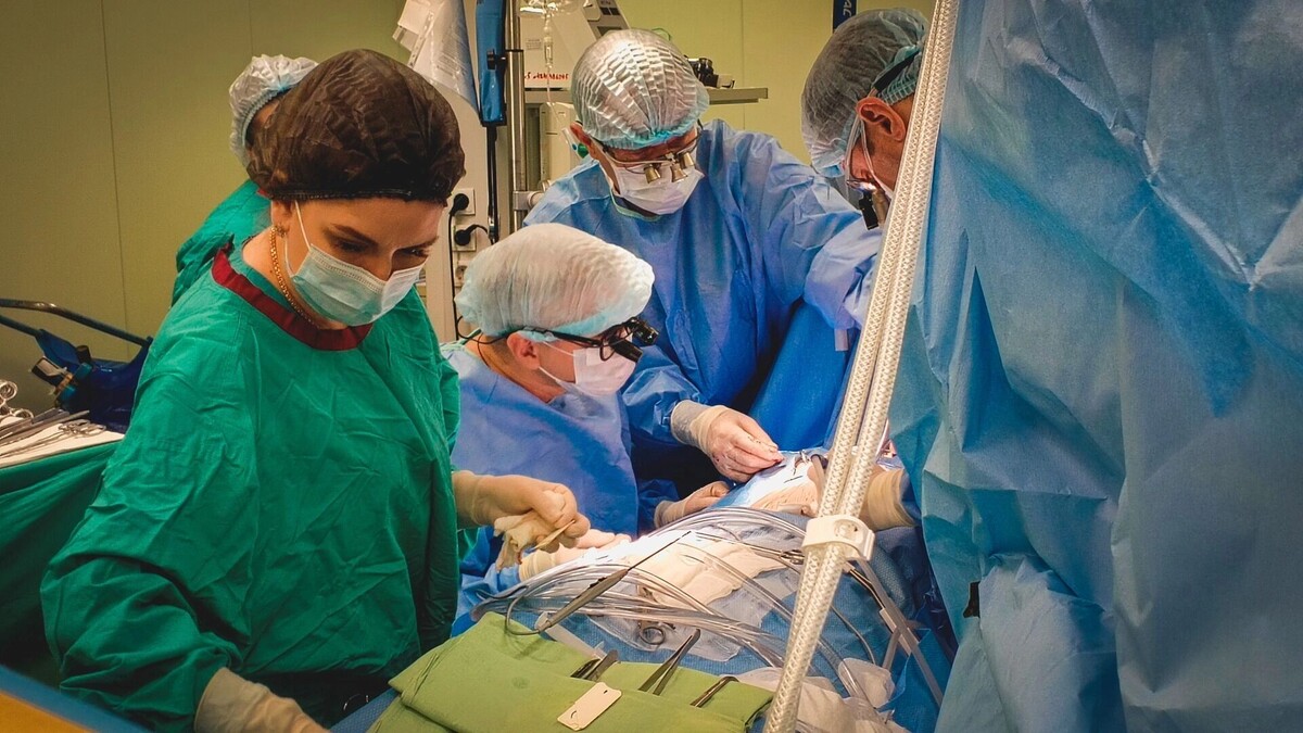     Источник: 1MI