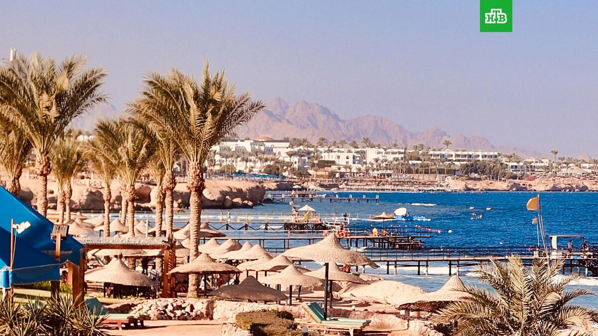    Фото: Omar Elsharawy / unsplash.com