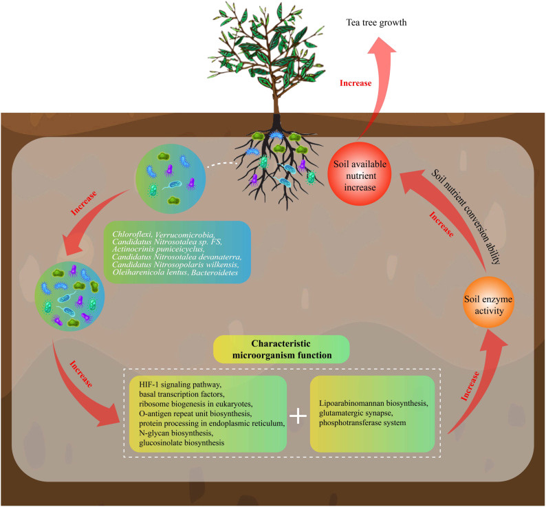 pmc.ncbi.nlm.nih.gov