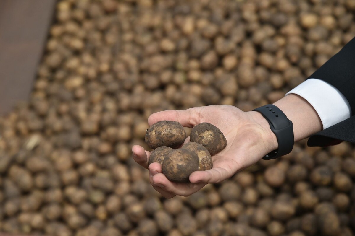     / Источник: © ИЗВЕСТИЯ/Александр Полегенько