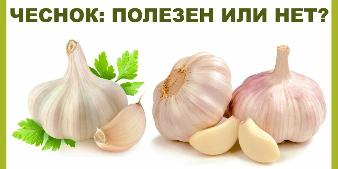 Употребление чеснока в пищу может существенно изменить состояние здоровья! И не всегда в лучшую сторону