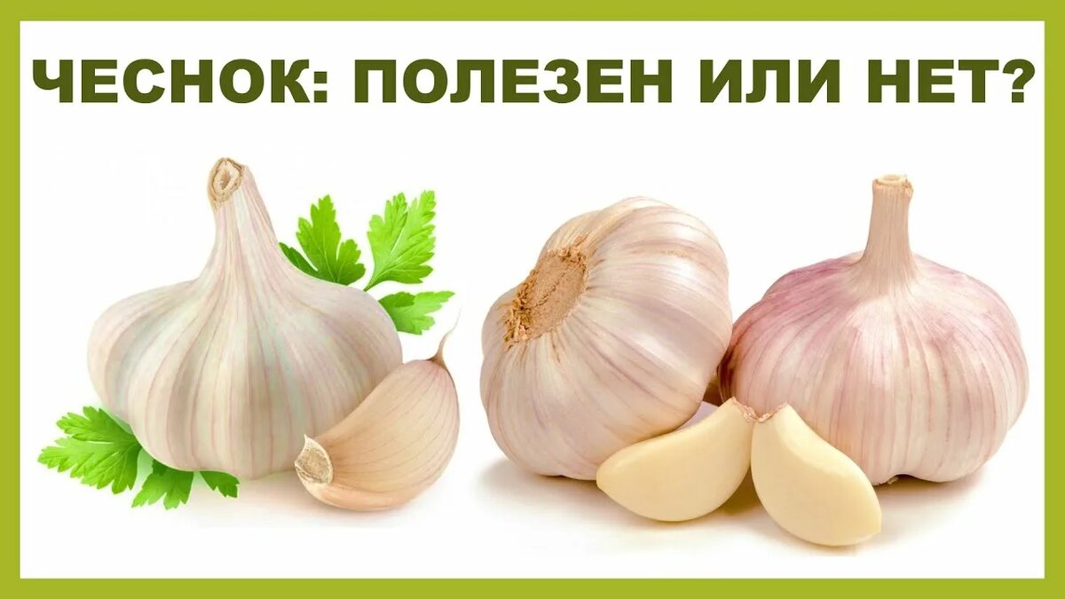 фото источник YouTube