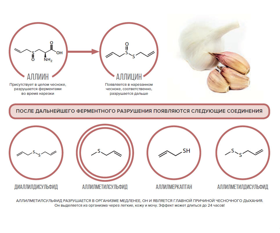 фото источник kasheloff.ru