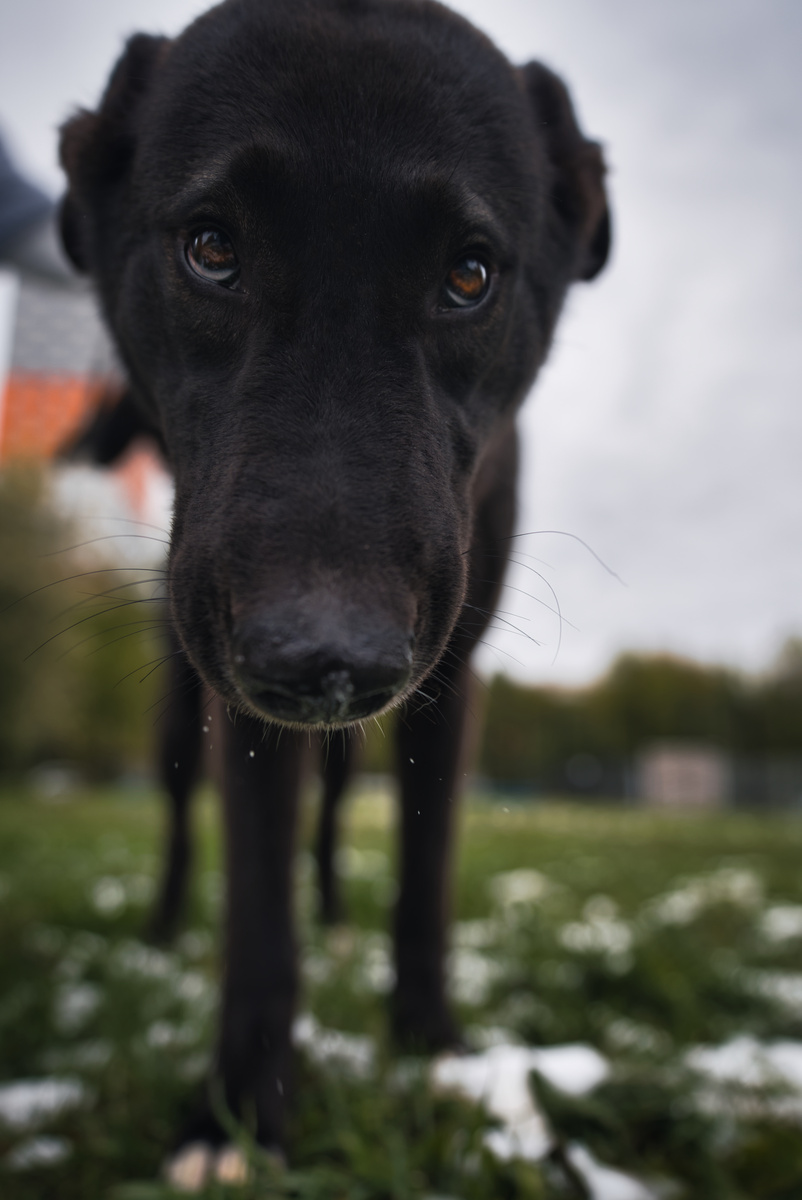 Нос у нас одна из главных частей тела, совать его везде Элис очень надо 😁