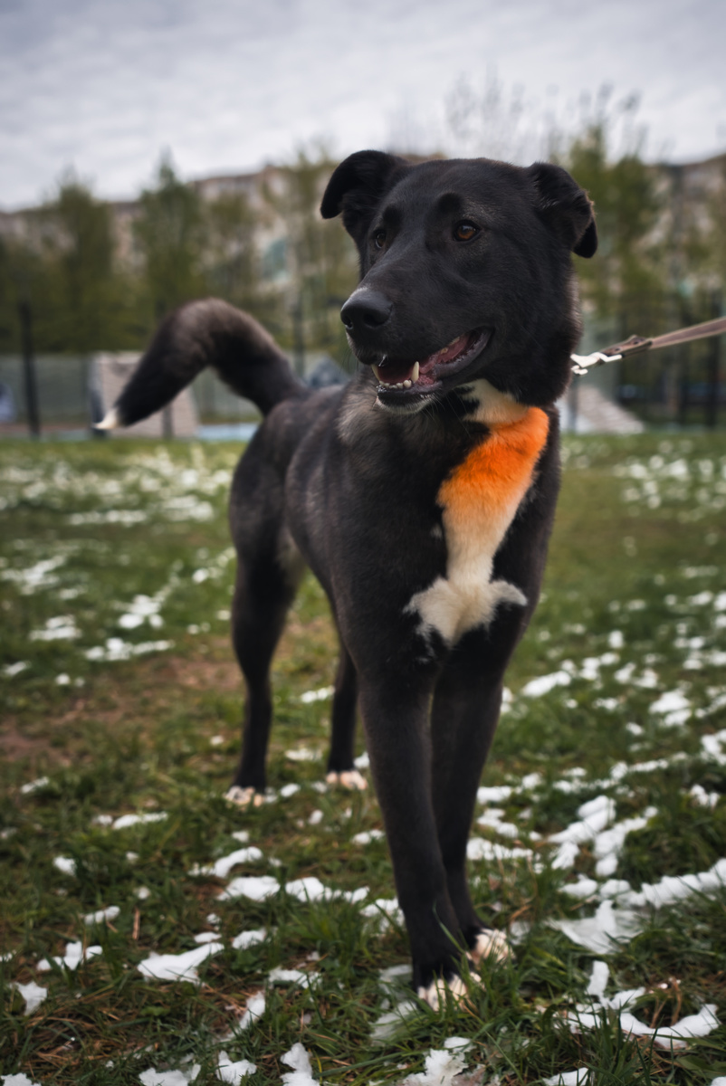 А когда нечего делать Элис улыбается 😄 