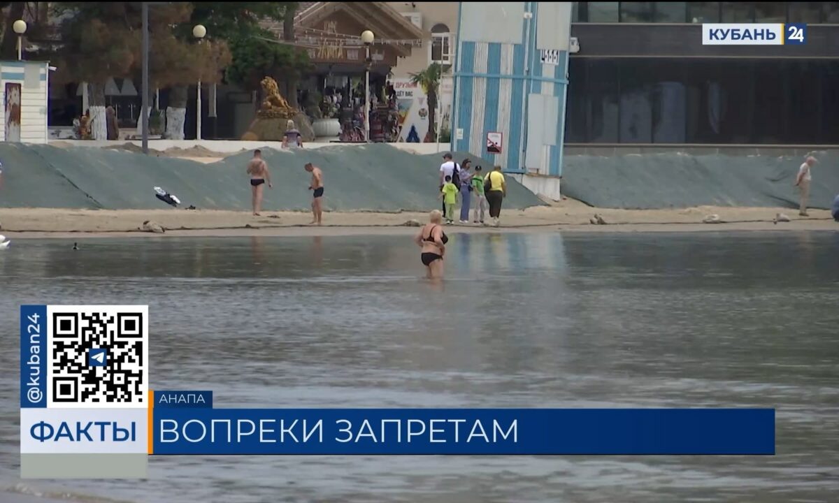 Фото канала «Кубань 24»