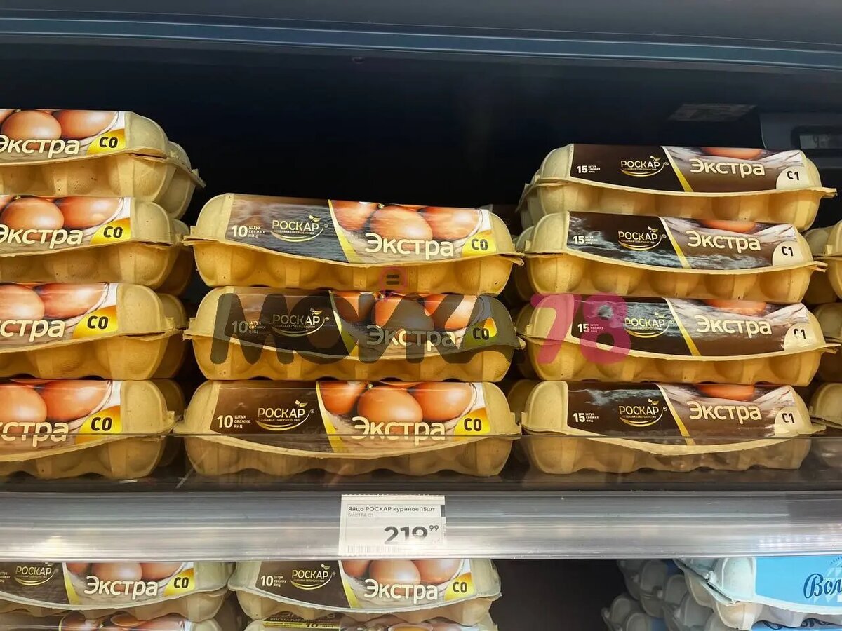    Фото: читатель Мойки78