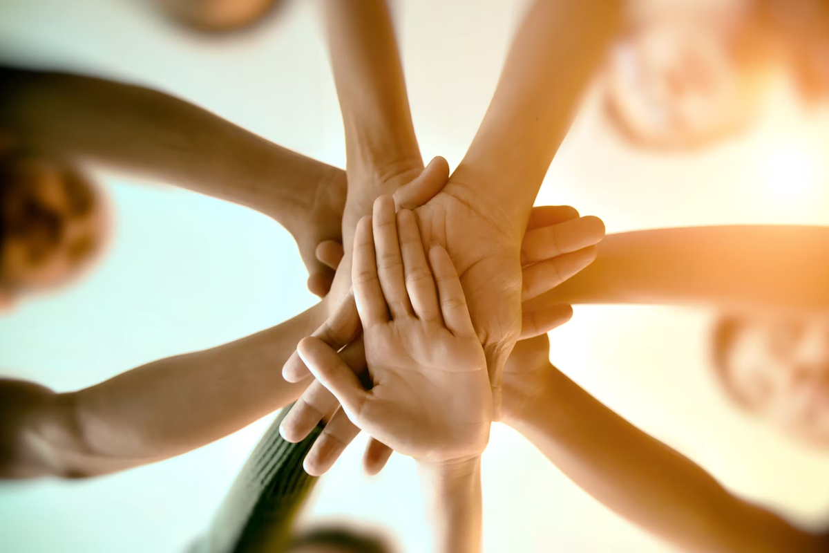 Фото из интернета