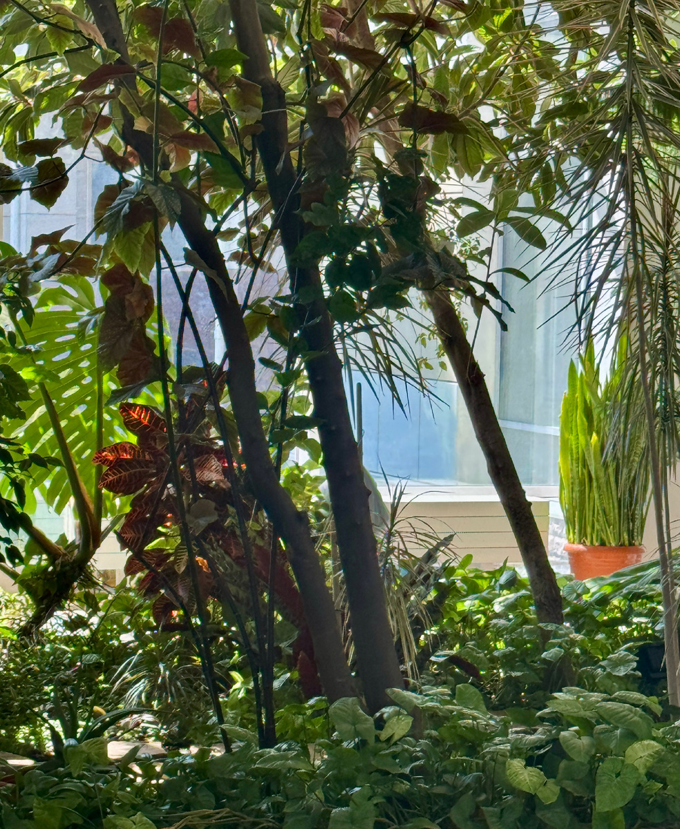 Фото дня (личное)