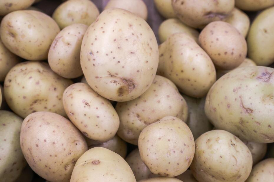    Shutterstock/FOTODOM