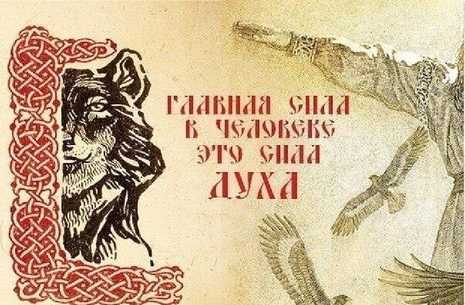 Картинка из интернета