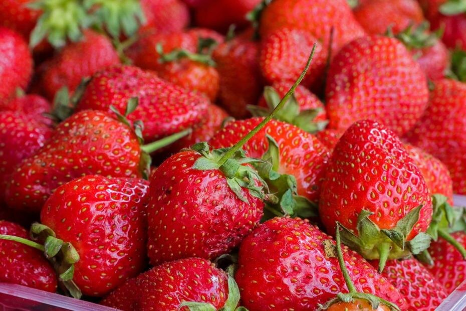    Наталья Шатохина/NEWS.ru