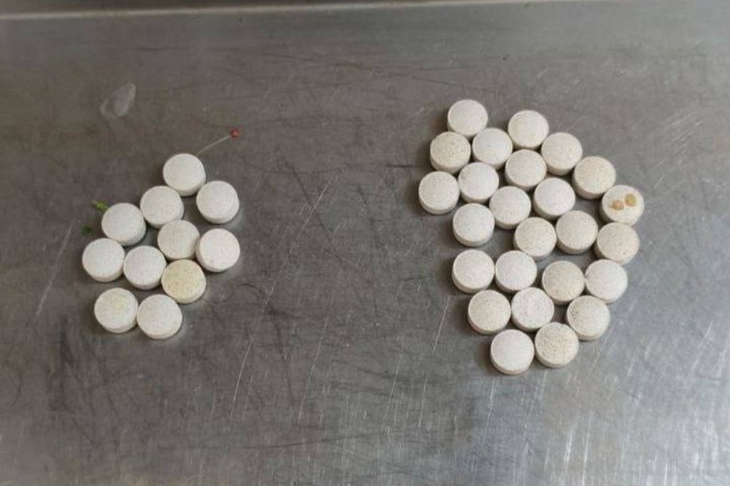    Фото © Telegram / Светлана Акулова