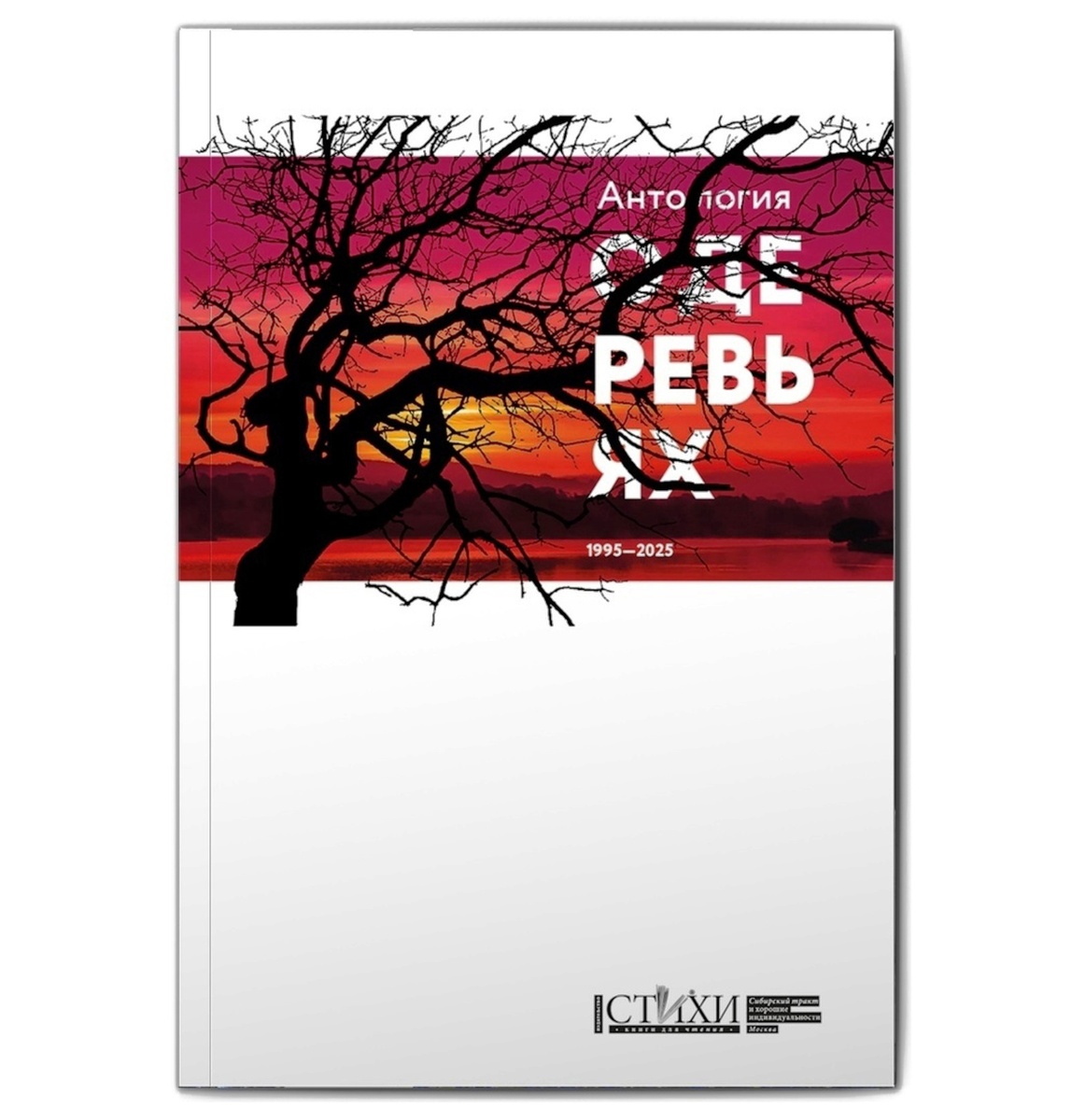 Официальная обложка книги