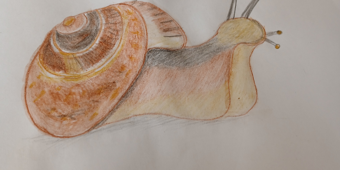 Как мы вообще выжили