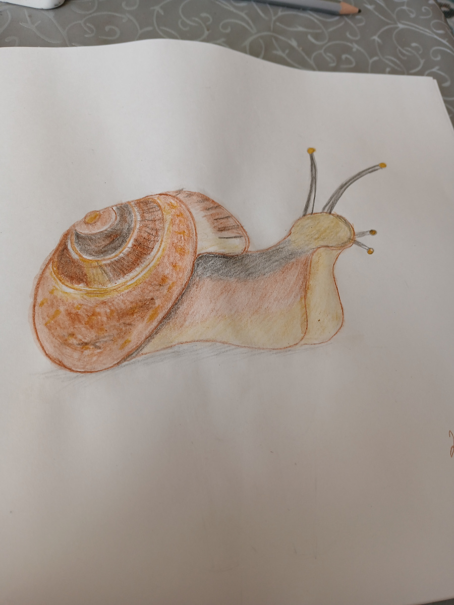 это я рисовала улитку сегодня