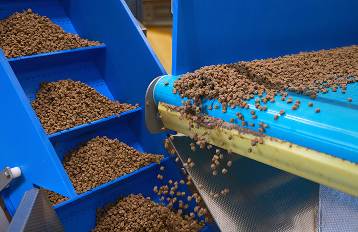    Сергей Фадеичев/ТАСС