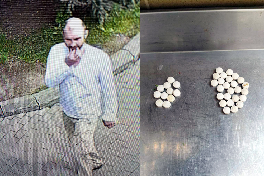    © t.me/svetlanaakulova1