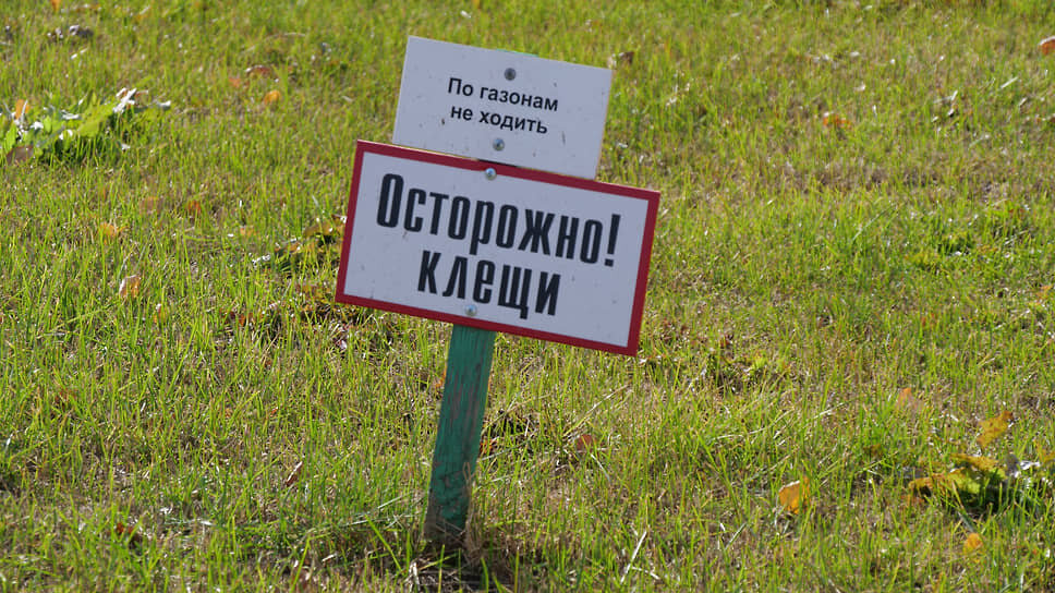 Фото: Евгения Яблонская / Коммерсантъ