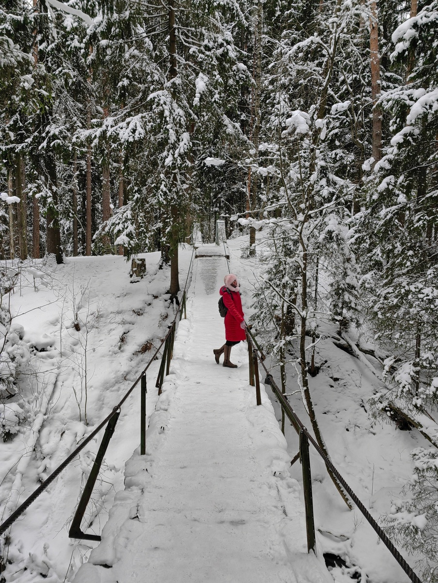 Экотропа "Вольер зубробизонов"