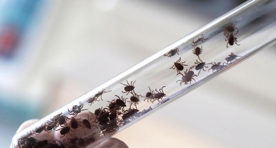    РИА «Новости»