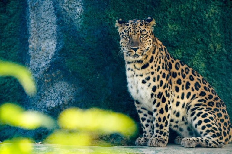    Фото: Авилов Александр/Агентство «Москва» Екатерина Шахнина