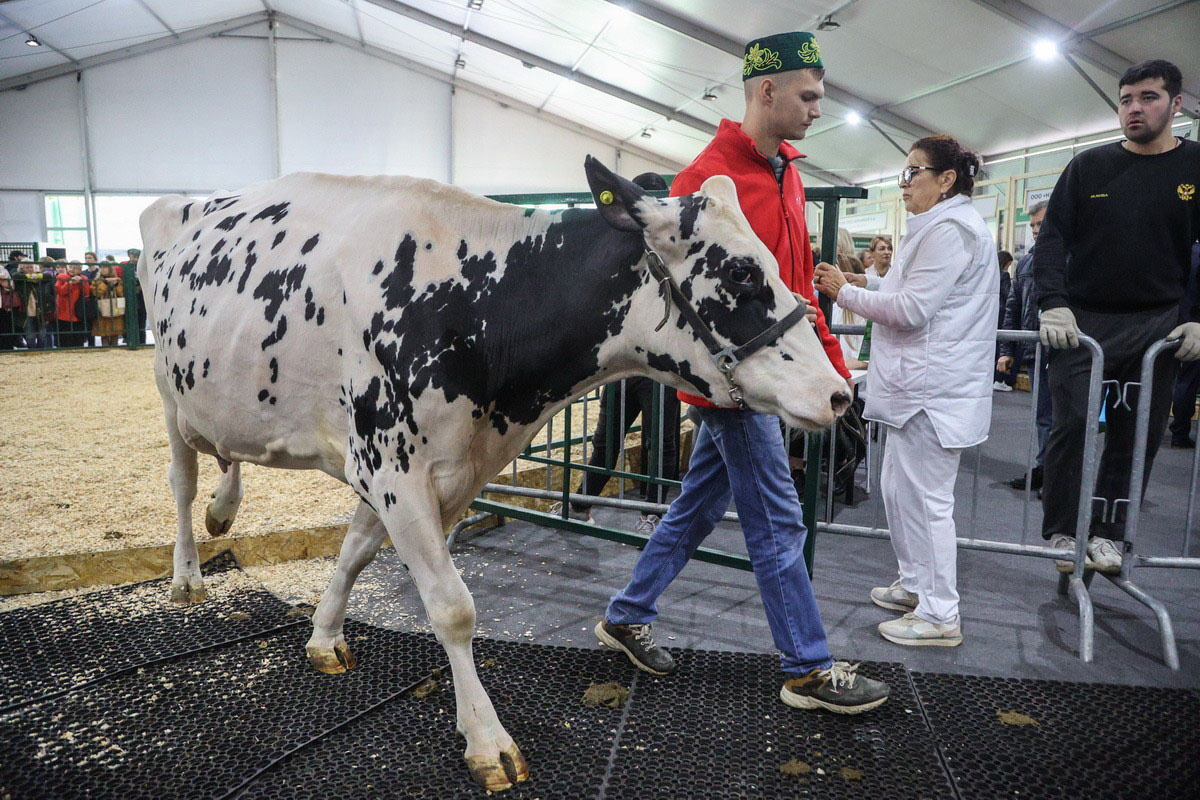 Автор фото: kvagro.ru