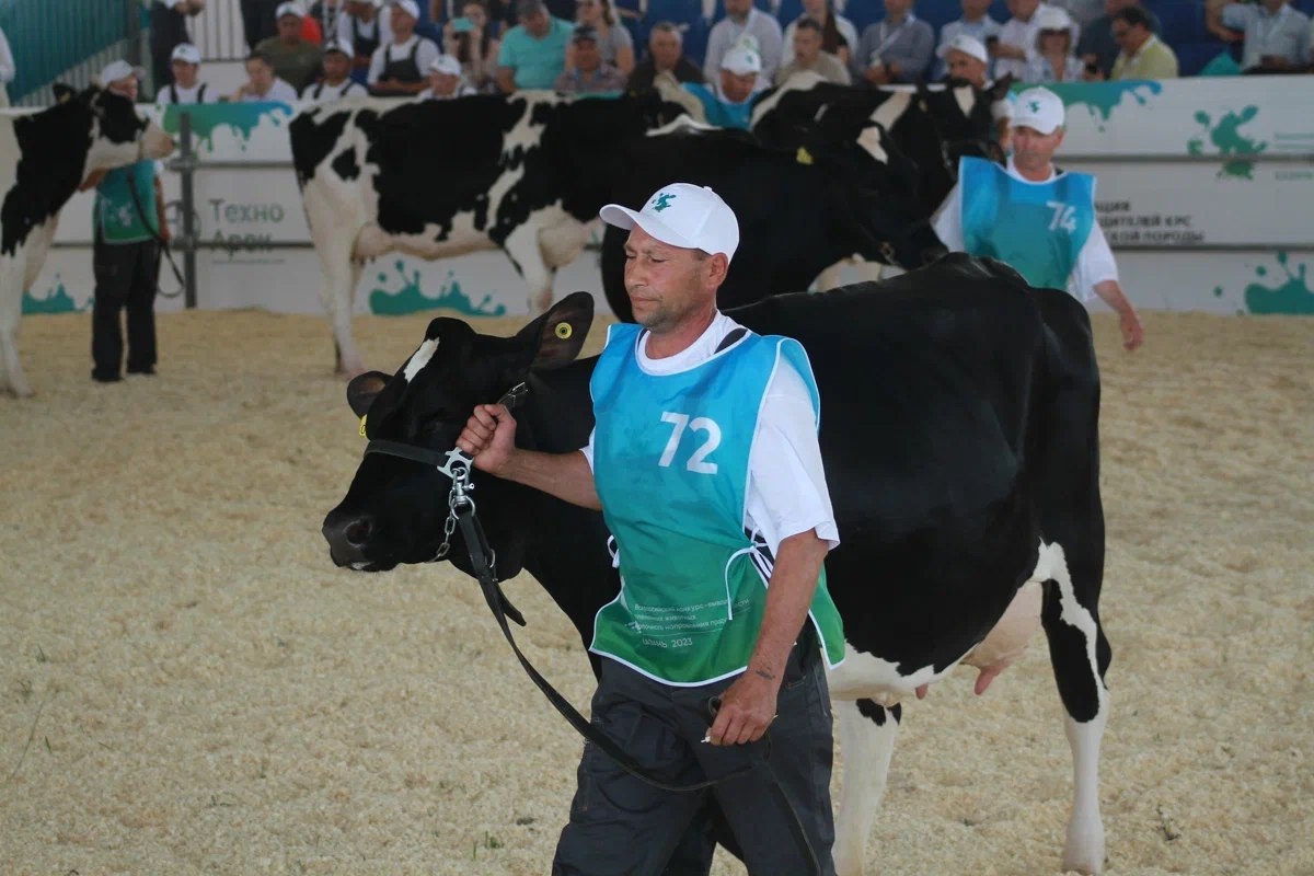 Автор фото: Павел Хацаюк / ИД «Вечерняя Казань»