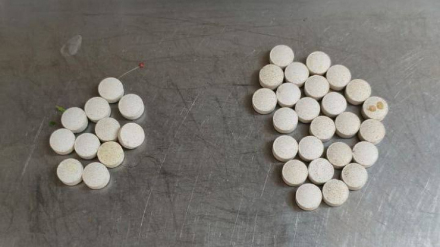    Фото: Telegram/ Светлана Акулова /svetlanaakulova1; 5-tv.ru