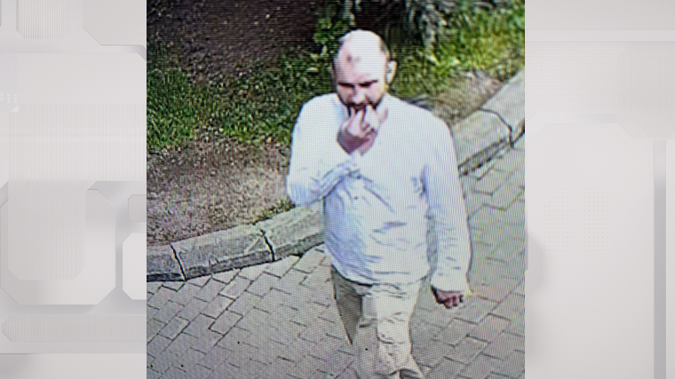    текст. Telegram/ Светлана Акулова /svetlanaakulova1