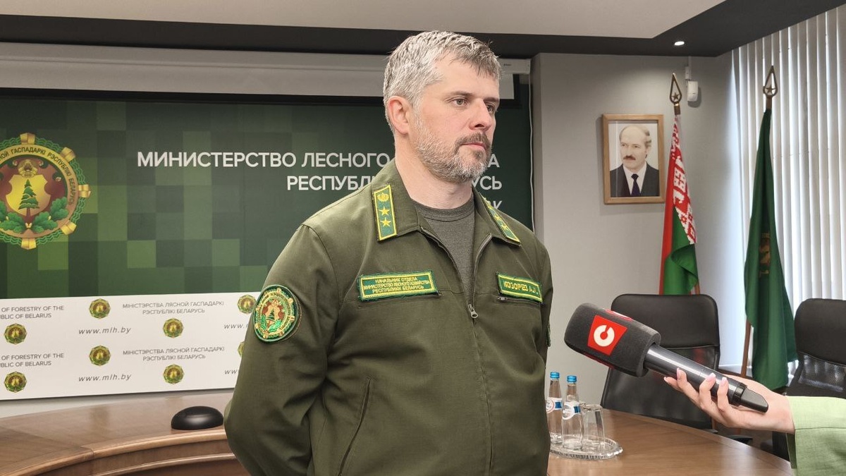 В Минлесхозе Беларуси предложили решение, как помешать выходу диких животных на дороги