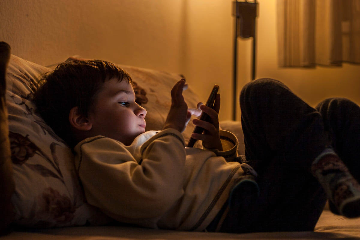    Фото: Miodrag Skilja / Shutterstock.com