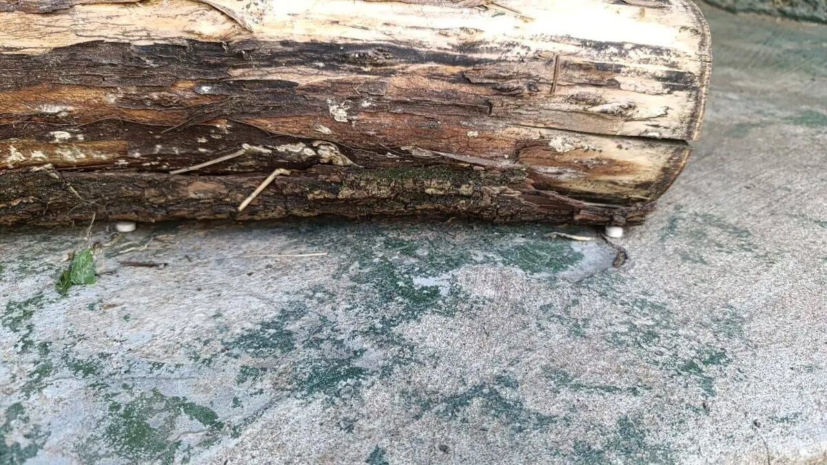    Фото: пресс-служба прокуратуры Москвы